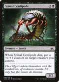 Spinal Centipede