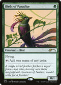 Birds of Paradise (92)