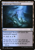 Submerged Boneyard
