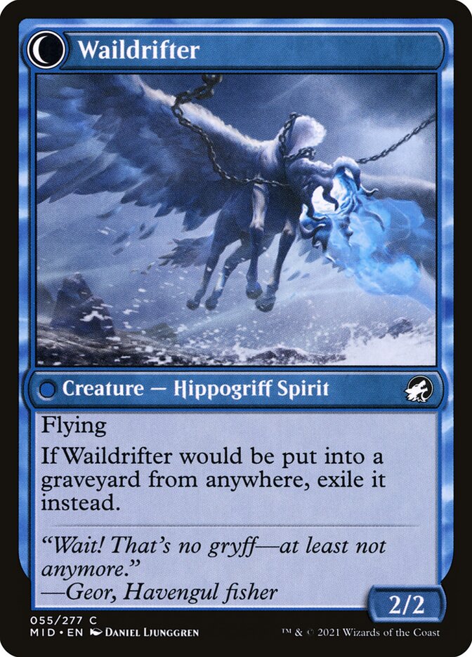 Galedrifter (Back)