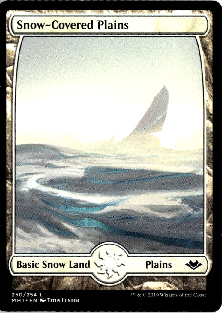Snow-Covered Plains | Near Mint / English / Normal
