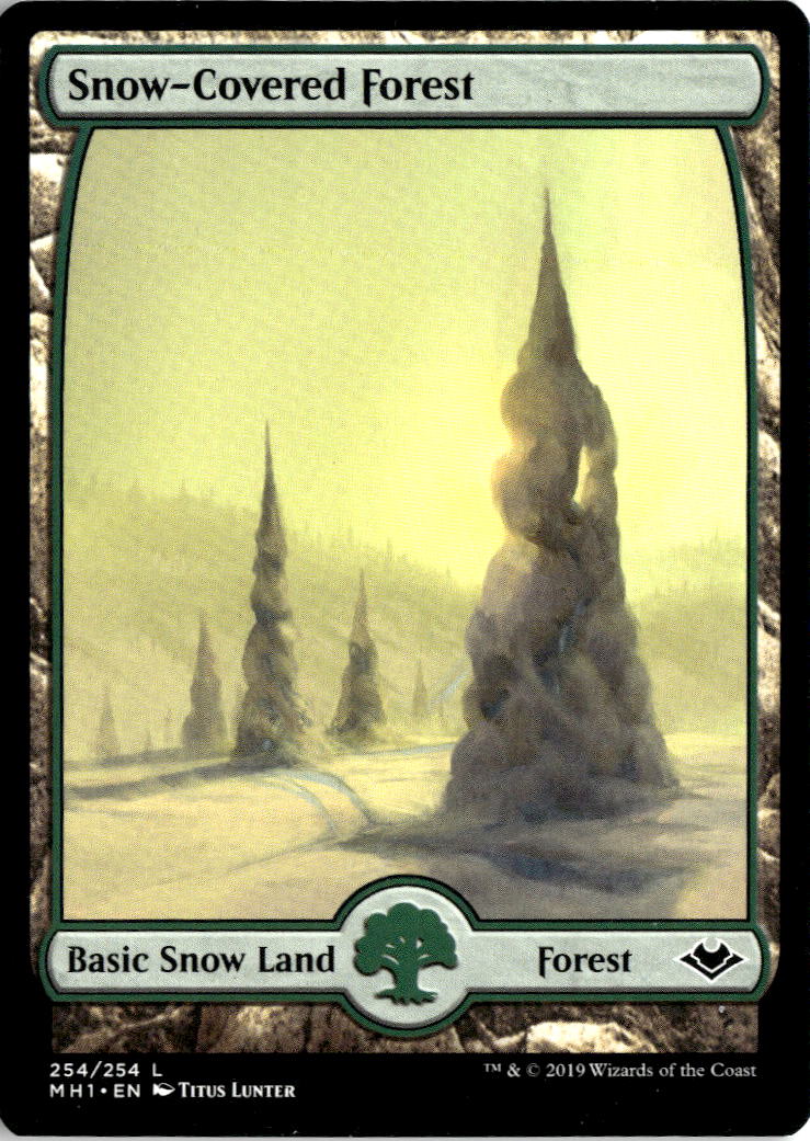 Snow-Covered Forest | Lightly Played / English / Normal