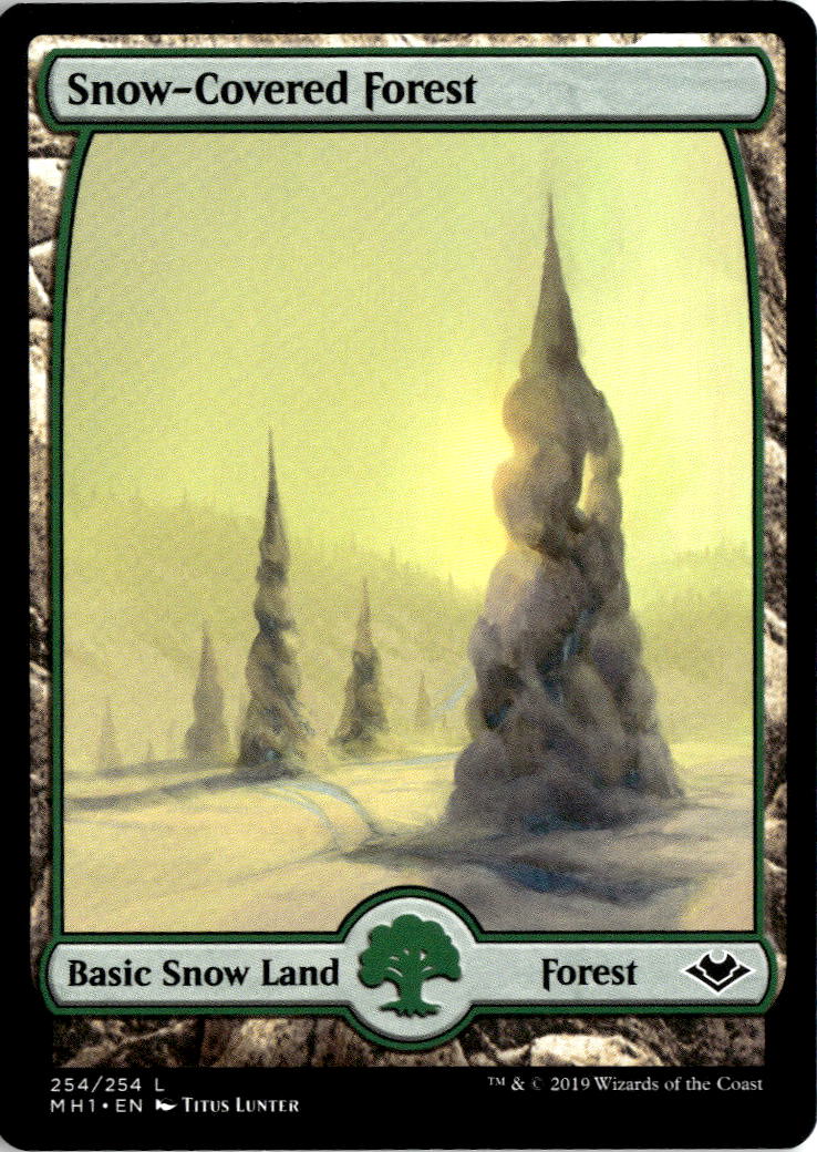 Snow-Covered Forest | Lightly Played / English / Normal