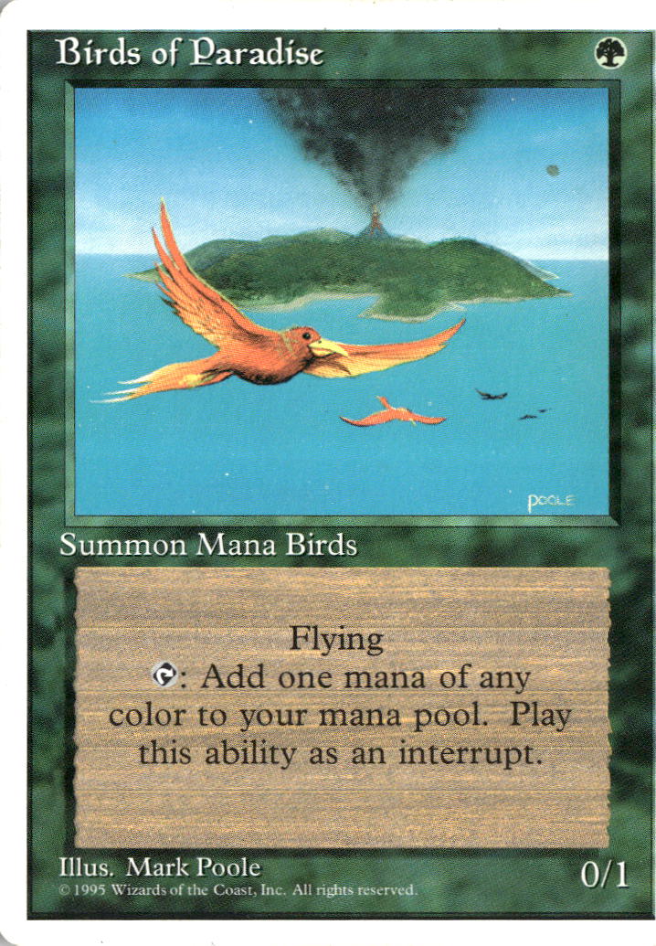Birds of Paradise