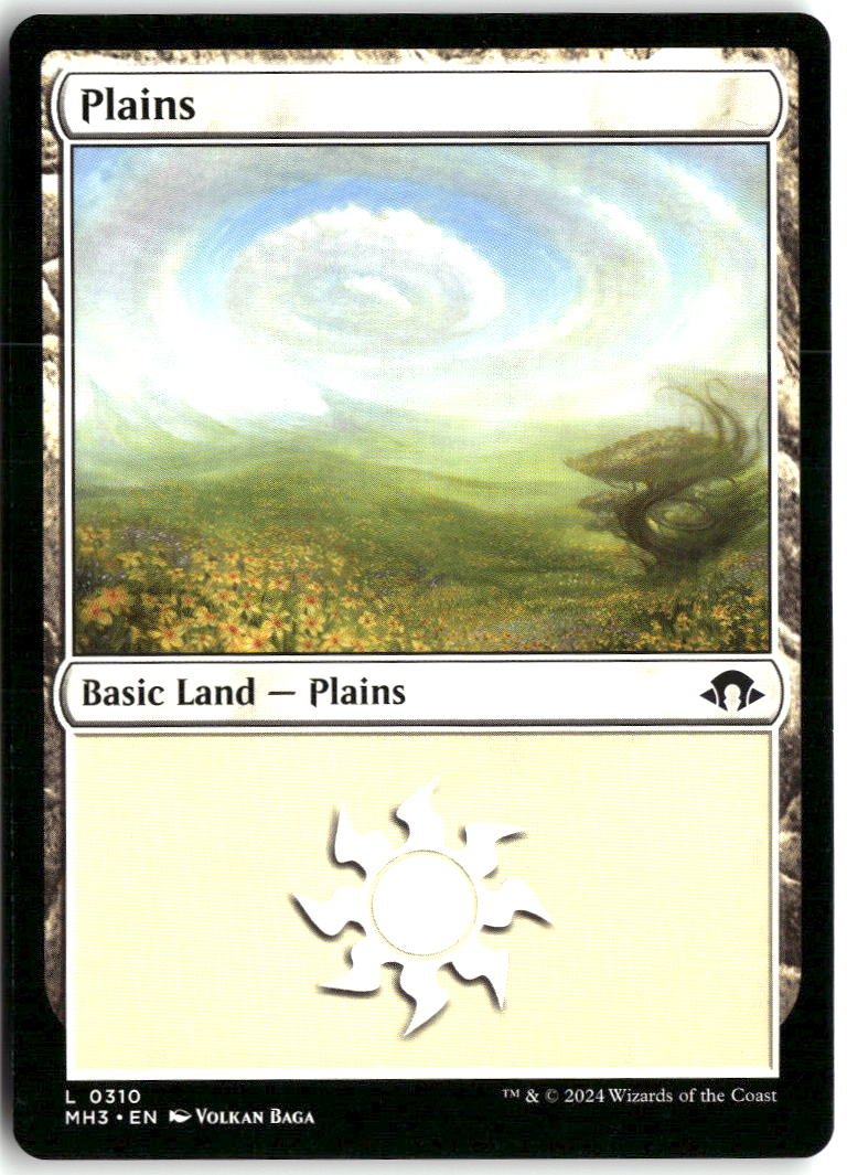 Plains (0310)