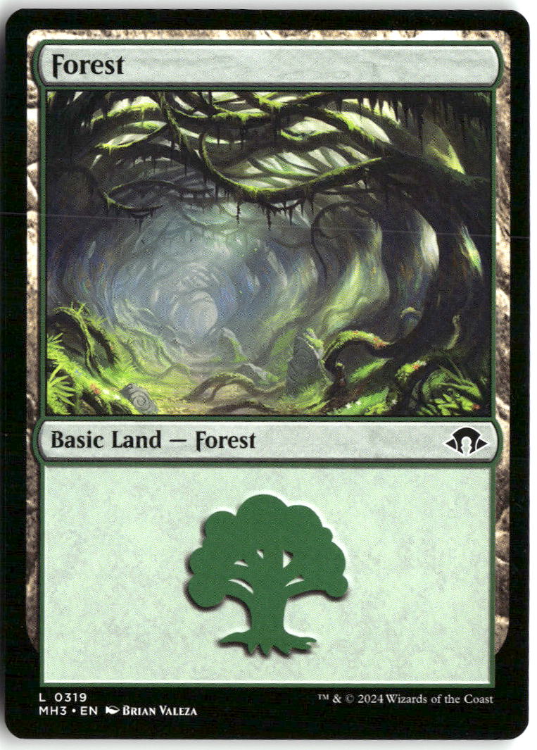 Forest (0319)