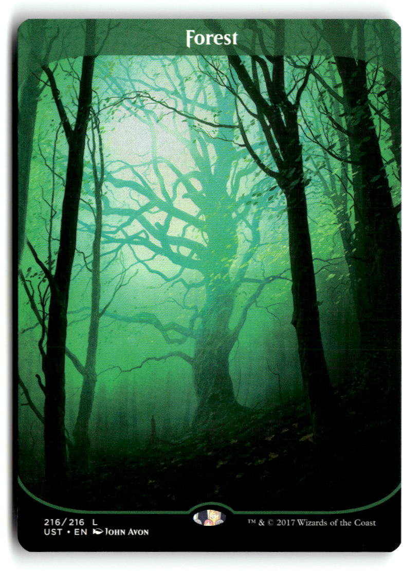 Forest