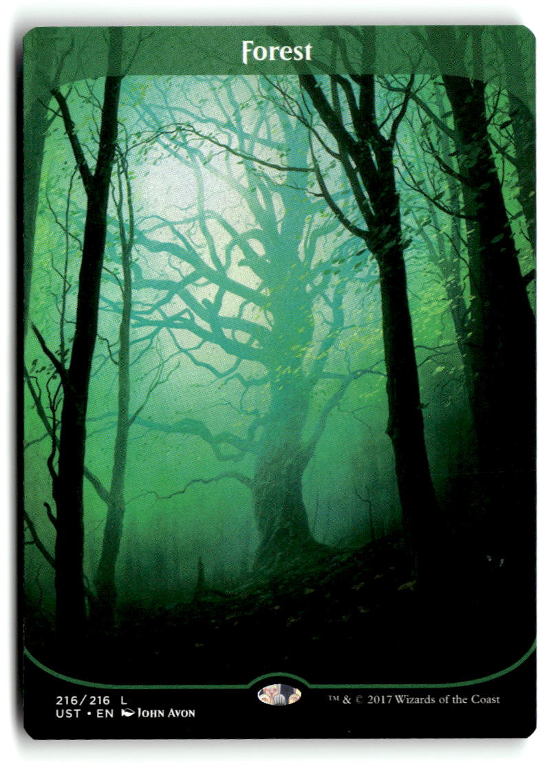 Forest