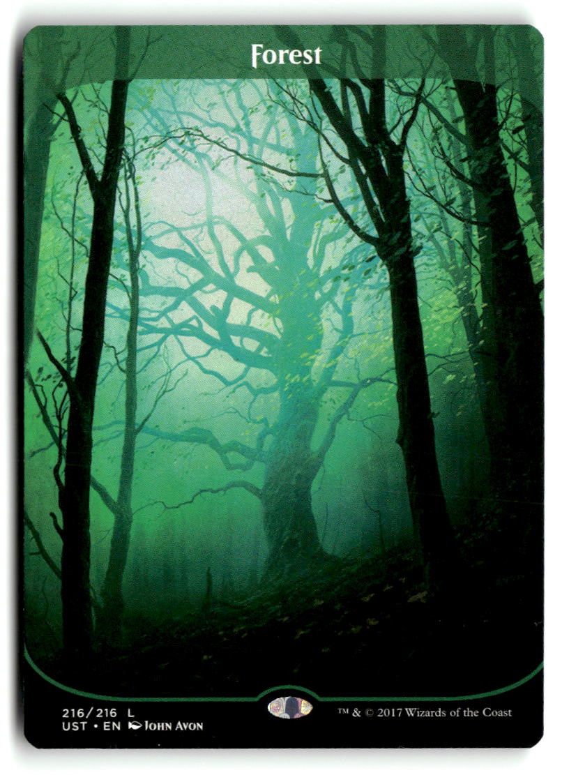 Forest