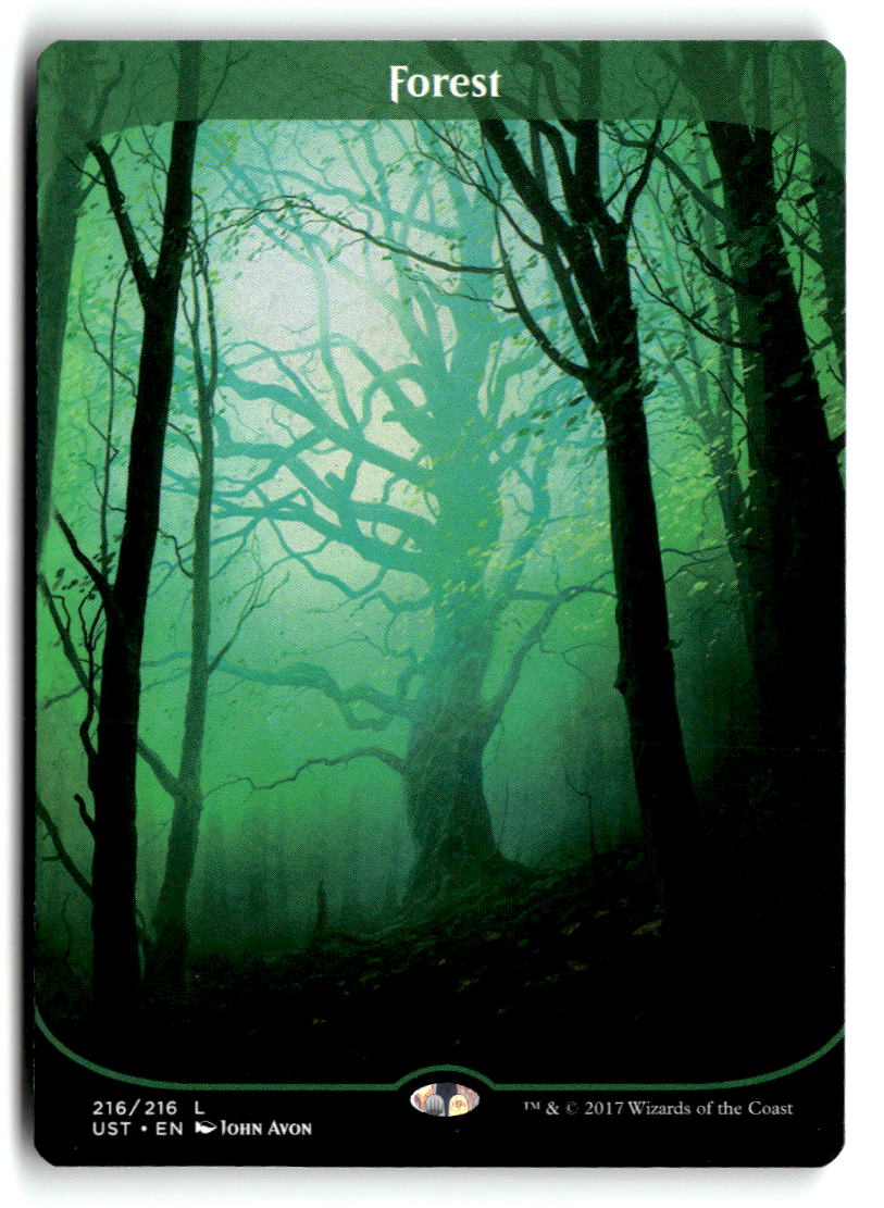 Forest