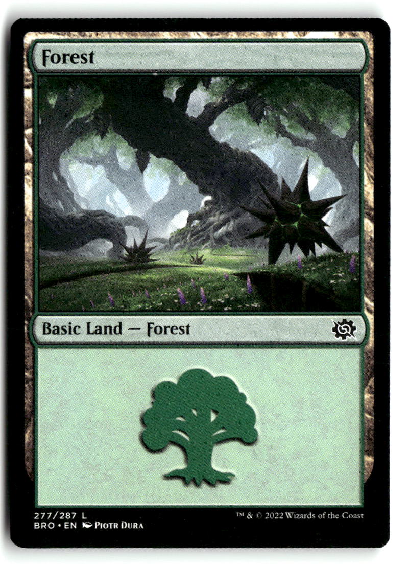 Forest (277)