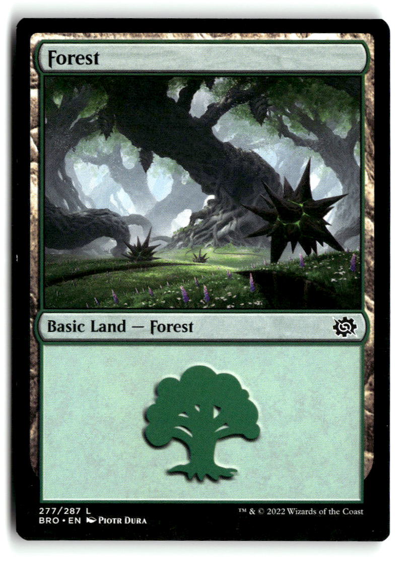 Forest (277)