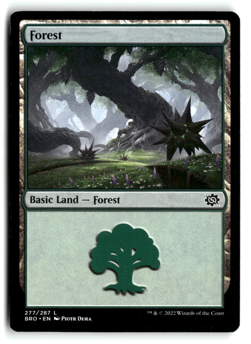 Forest (277)