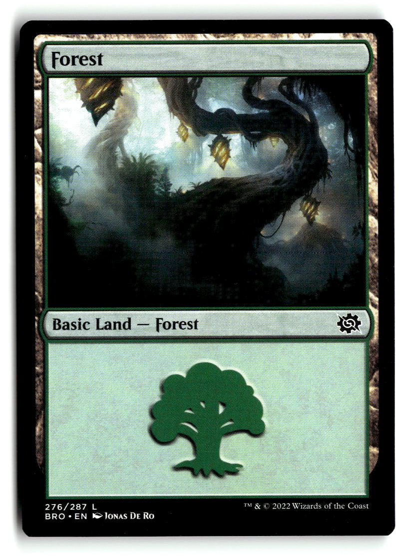Forest (276)