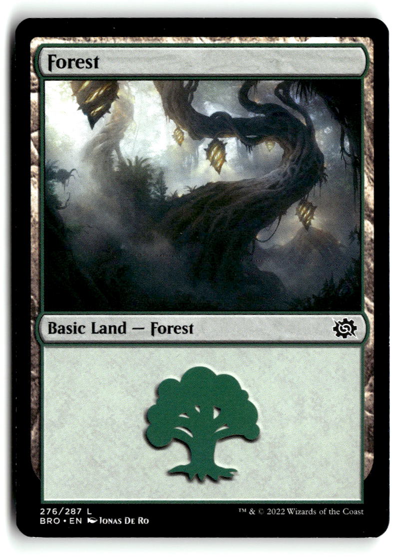 Forest (276)