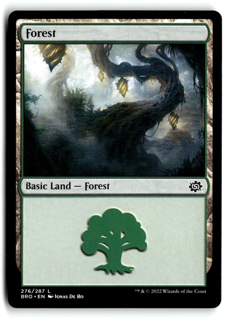 Forest (276)