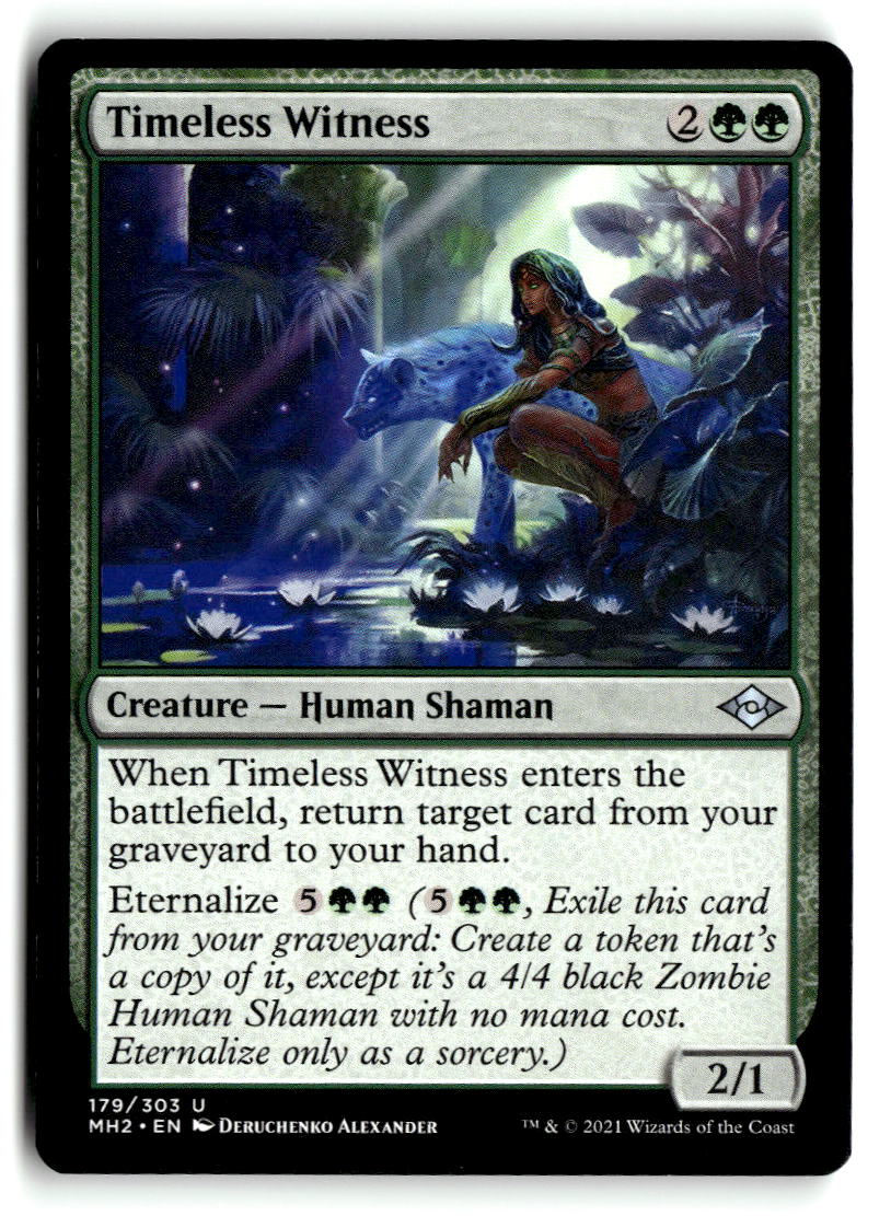 Timeless Witness